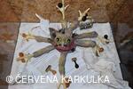 Obluda Úřední