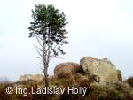 Zřícenina hradu Šelenburk (Šelenburg, Lobenstein)