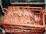 DENAS COLOR, a.s. - 33