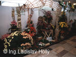 Výstaviště Flora Olomouc