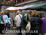 Setkání Jeníčků a Mařenek 2007