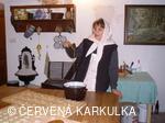 Ukládání Ježibaby mladé (tzn. bez vousů) k zimnímu spánku 31.12.2009