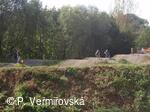 Petřvald