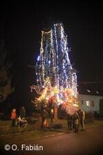 Petřvald
